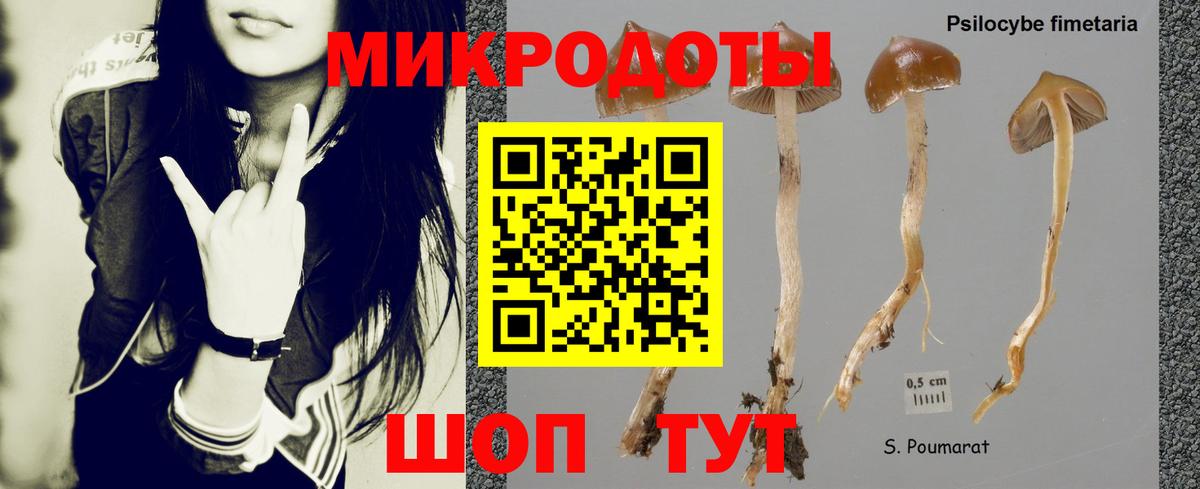 Муравленко  Галлюциногенные грибы GOLDEN TEACHER  Вход с VPN 